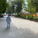 Gandhi’s ashram looked unperturbed by the frenzy all around.